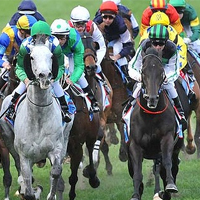 3yr old horse causes boilover