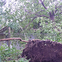 Gale warning remains in force for Western Viti Levu