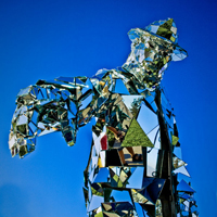 Mirror Man to dazzle at Fiji Showcase