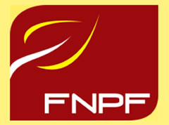 FNPF records net loss for 2009
