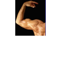 Fiji Body Building reduces team to Pacific Games