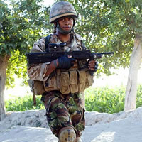 BA Fijians seek dual citizenship