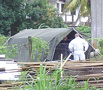 Farmer found with leaves possibly marijuana 