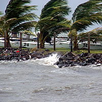 Strong wind warning in force