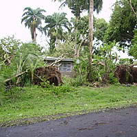 A Strong Wind Warning Remains in Force