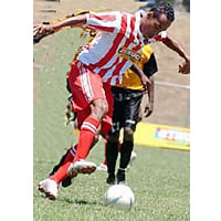 Babasiga Lions Top Pool 2