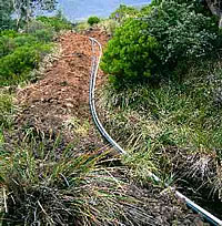 80% of Ba without water