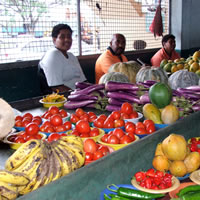 Eat more local foods - Parkinson