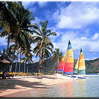 Resort plans huge feast for guests